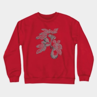 Fig Crewneck Sweatshirt